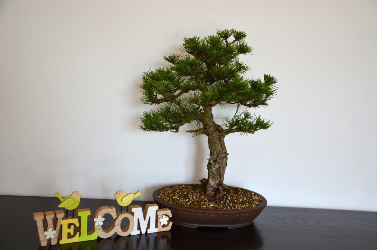 Appartement Bonsai House à Portorož Extérieur photo